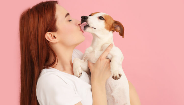 ako pes prejavuje lásku a oddanosť